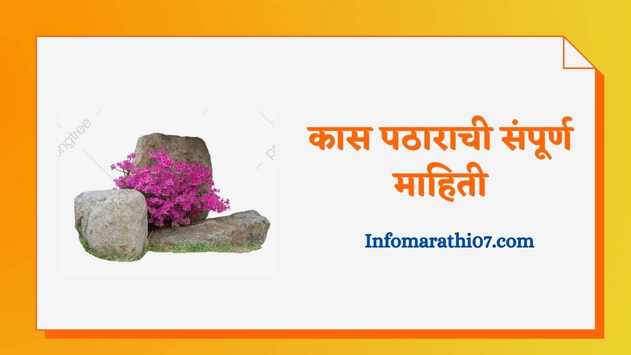 Kas Pathar information in Marathi