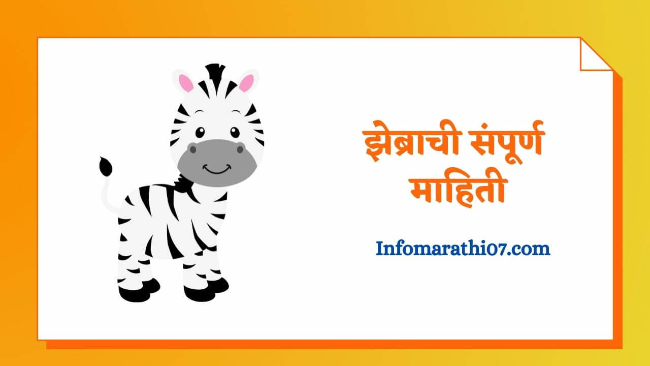 Zebra information in marathi