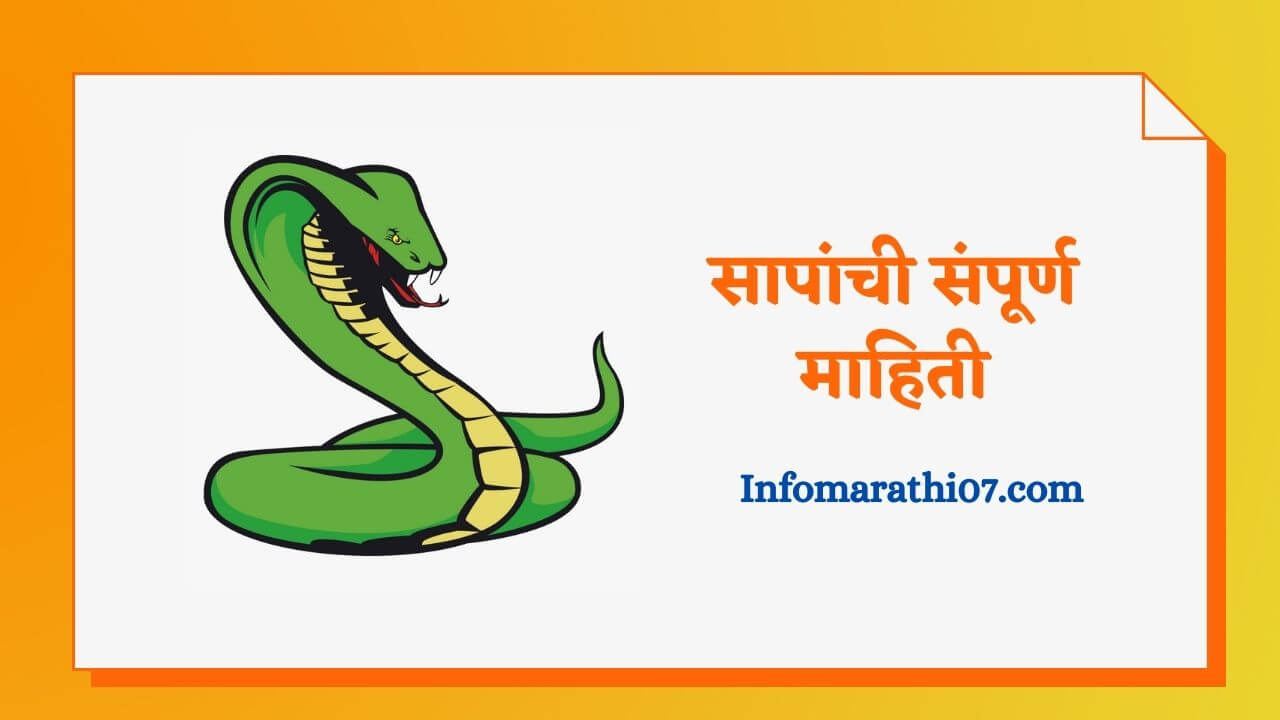 Snake information in Marathi