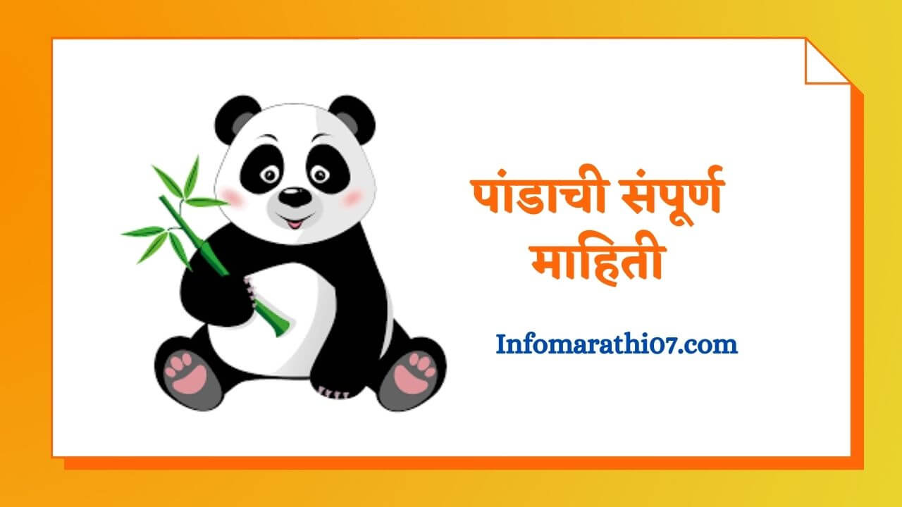 Panda information in marathi