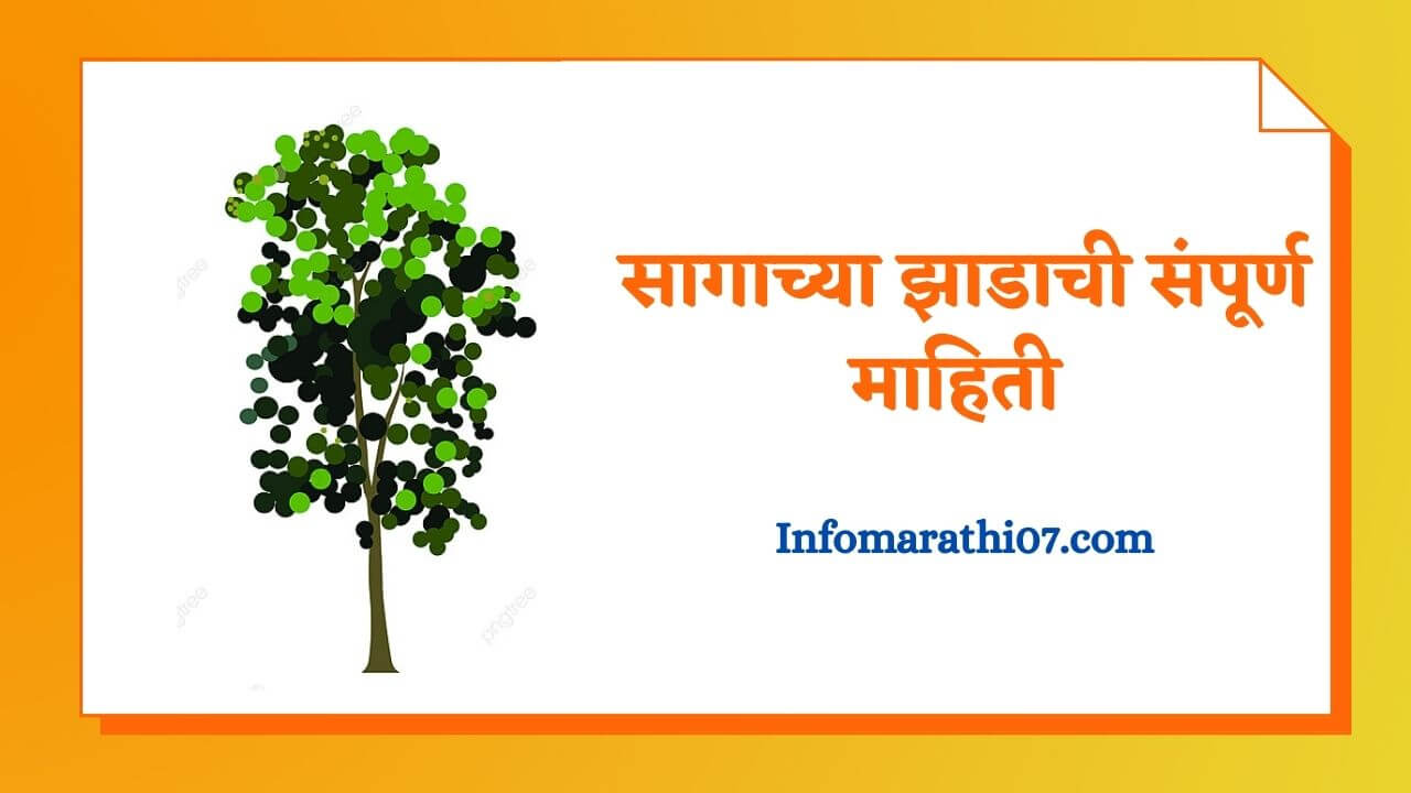 Sag tree information in Marathi