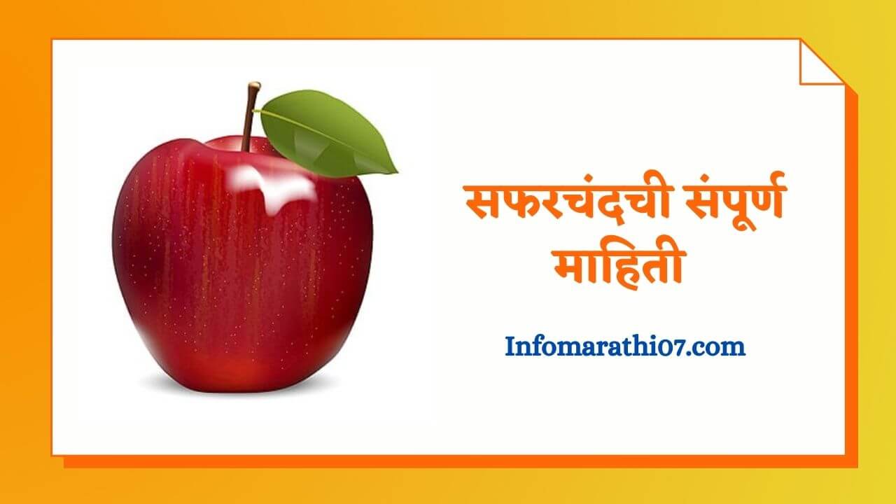 Apple Information in Marathi