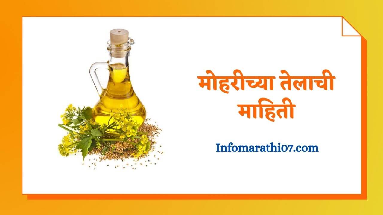 Mustard Oil in Marathi