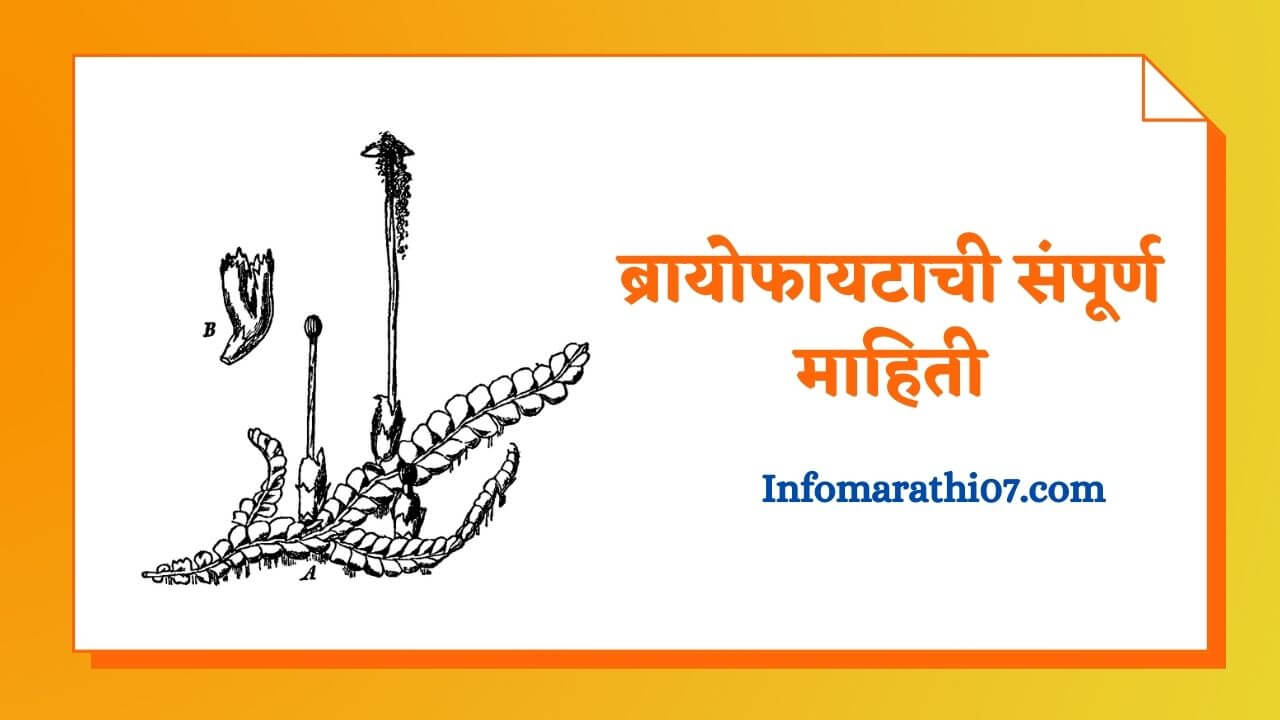 Bryophyta information in Marathi