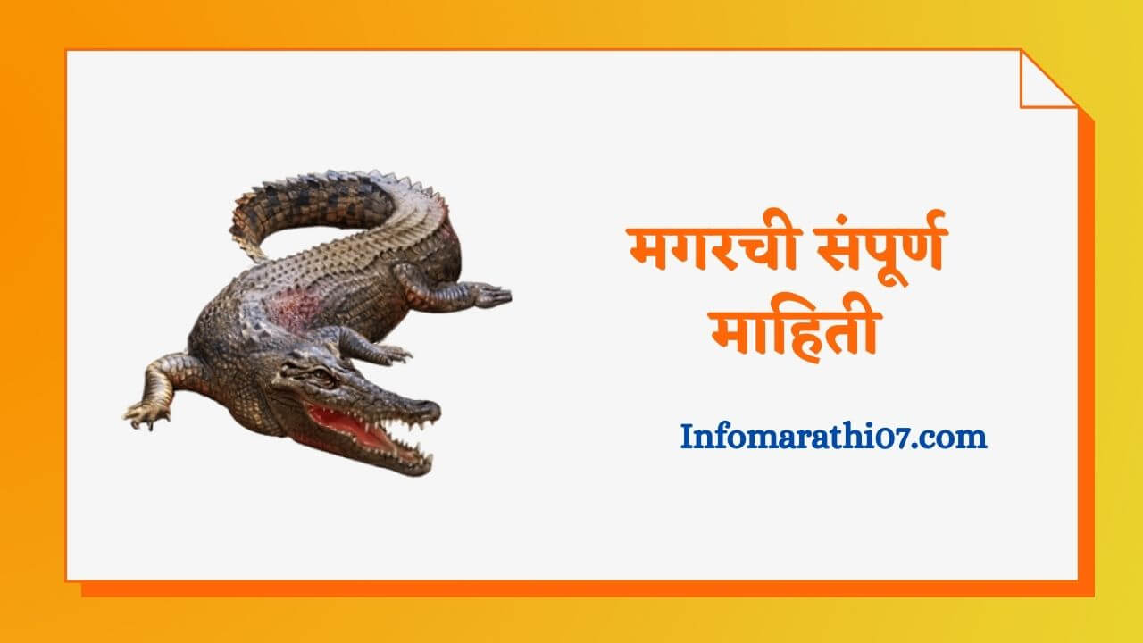 Crocodile information in Marathi
