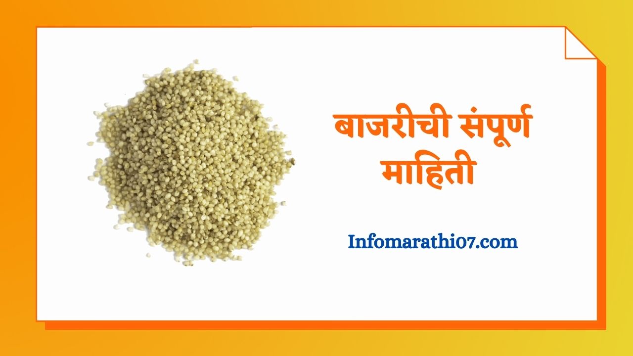 Millets In Marathi