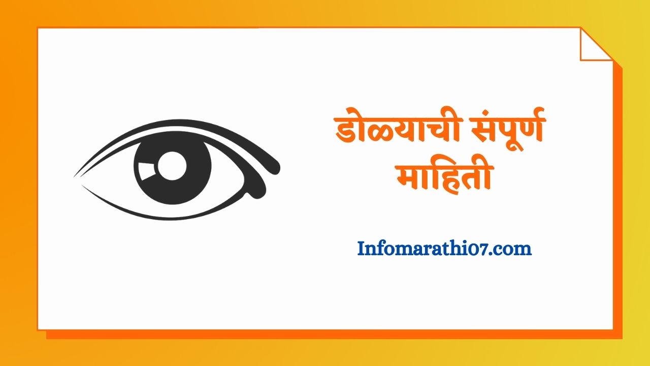 Eye information in Marathi