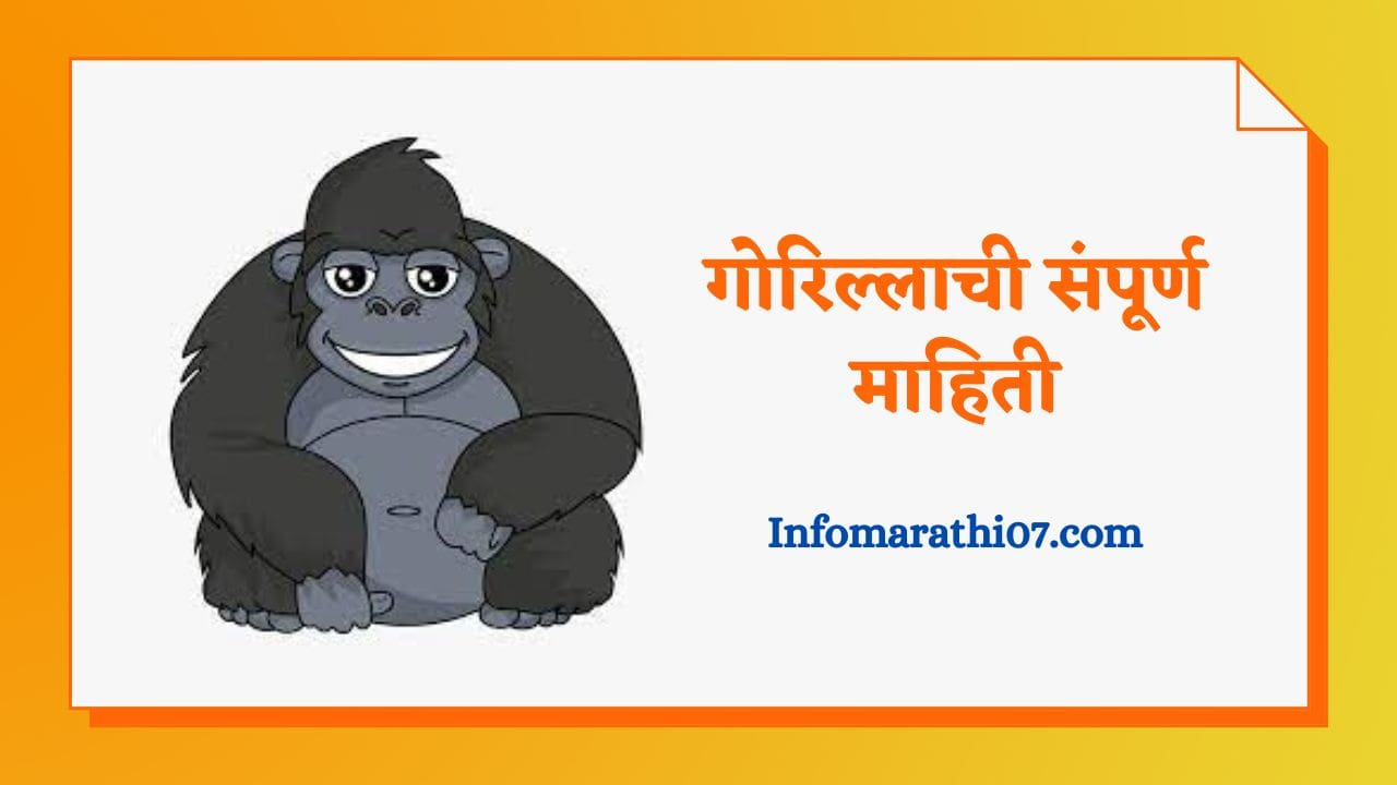 Gorilla information in Marathi