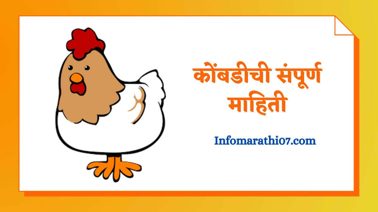Hen information in Marathi