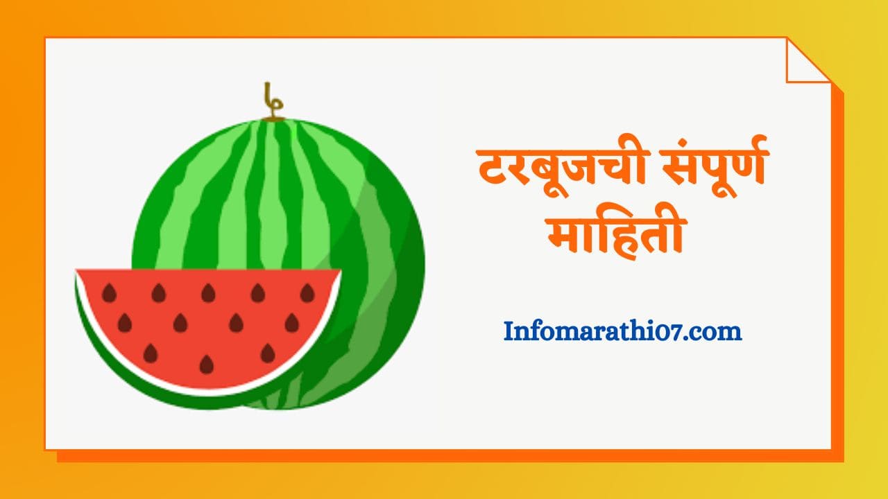 Information About Watermelon In Marathi