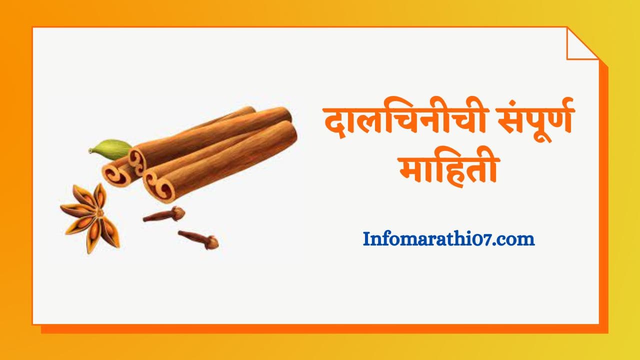 Cinnamon in marathi