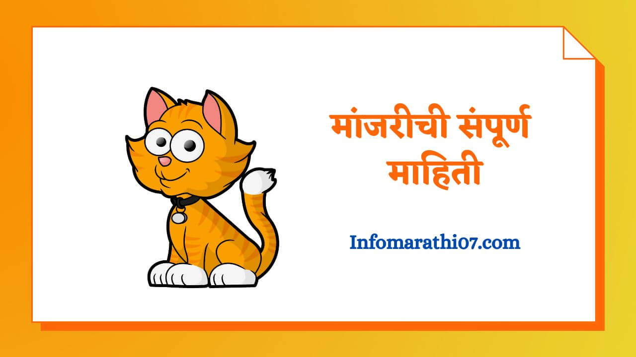 Cat information in Marathi