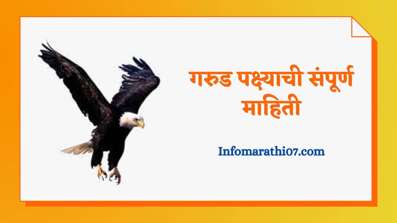 Eagle bird information in Marathi