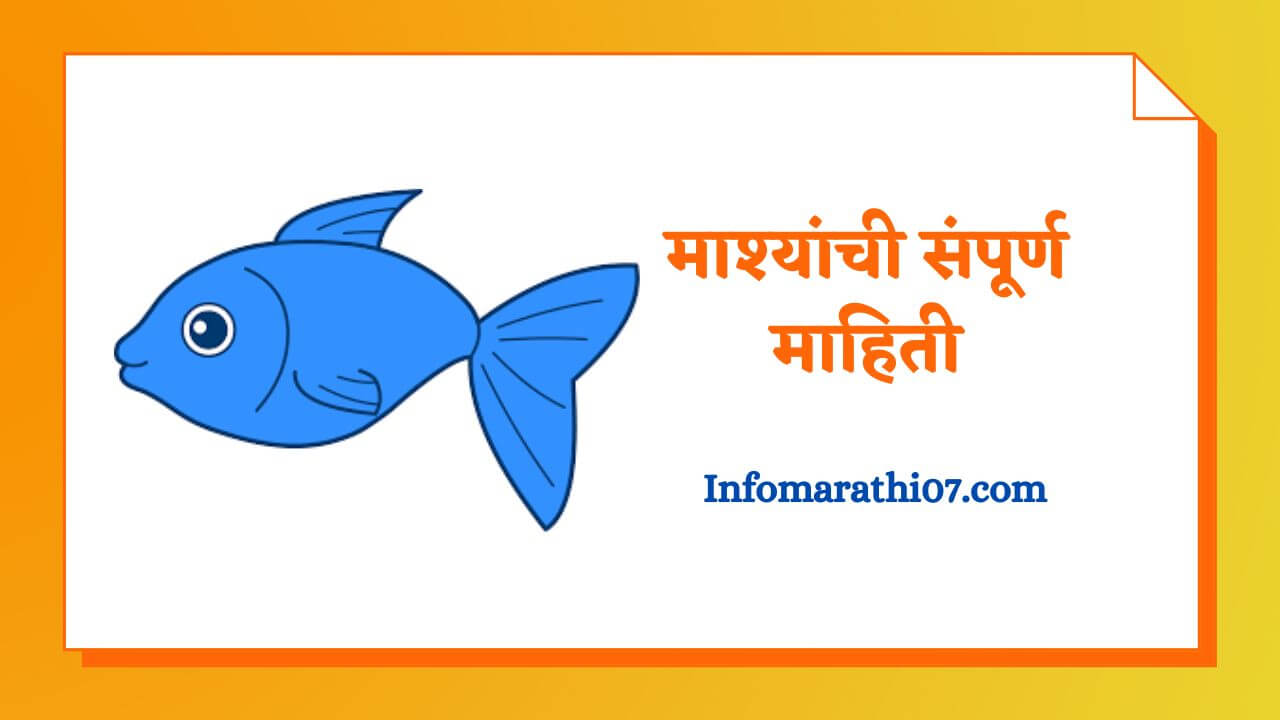 Fish information in Marathi