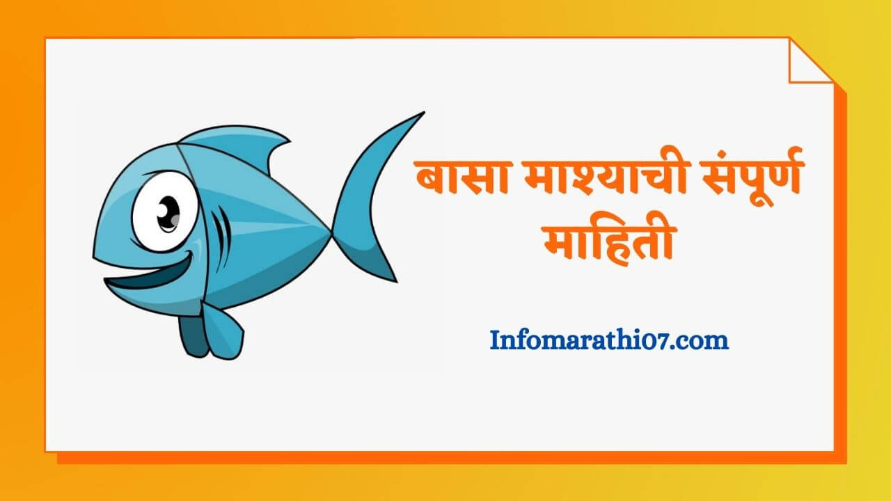 Basa Fish In Marathi