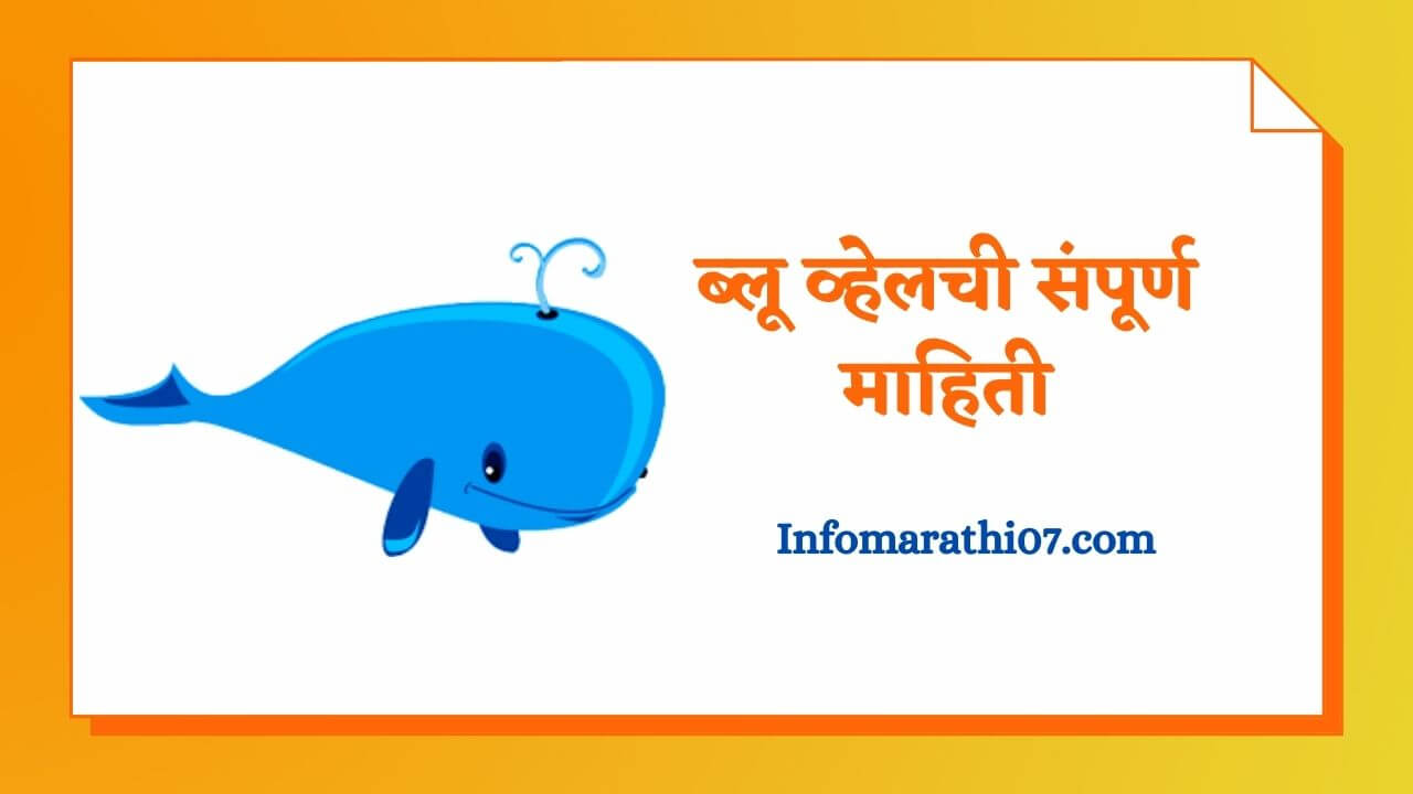 Blue whale information in Marathi