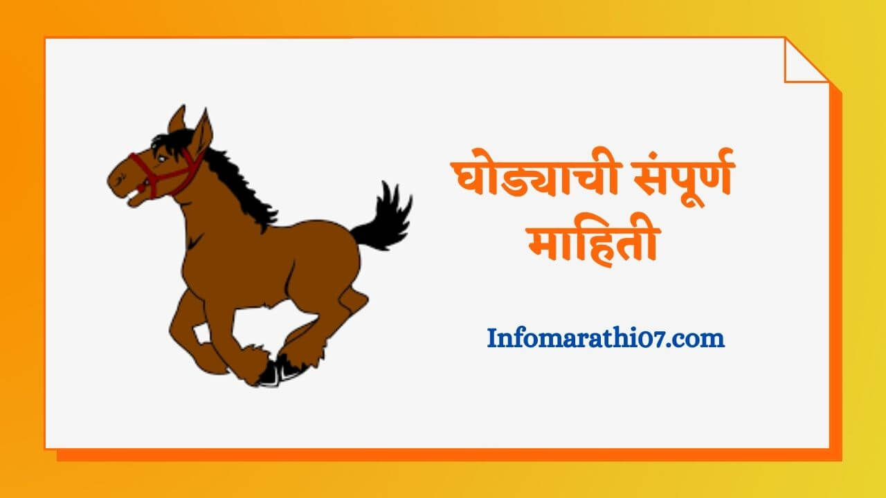 Horse information in Marathi
