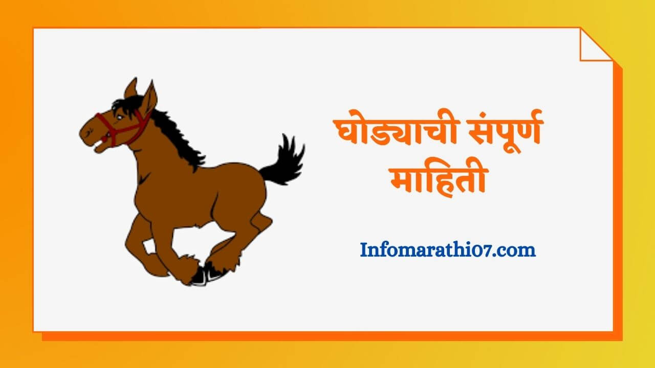 Horse Riding In Marathi Language