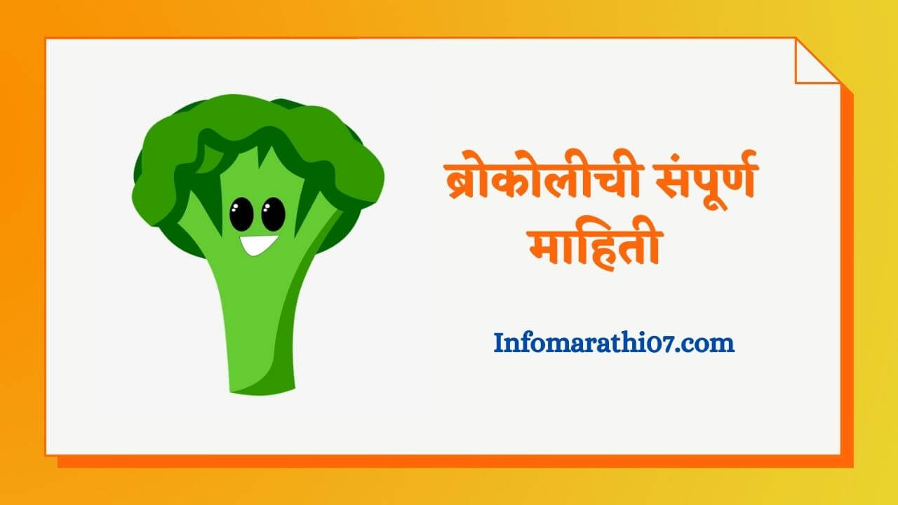 Broccoli in Marathi