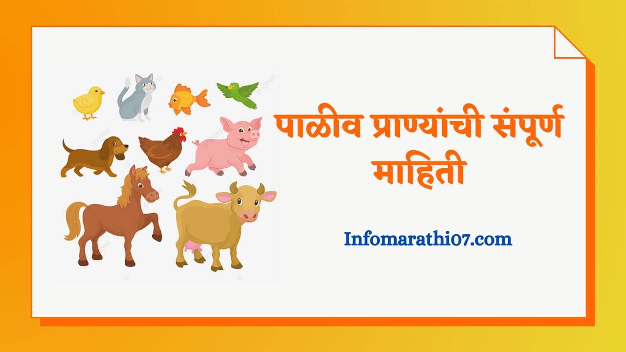 Domestic animals information in Marathi