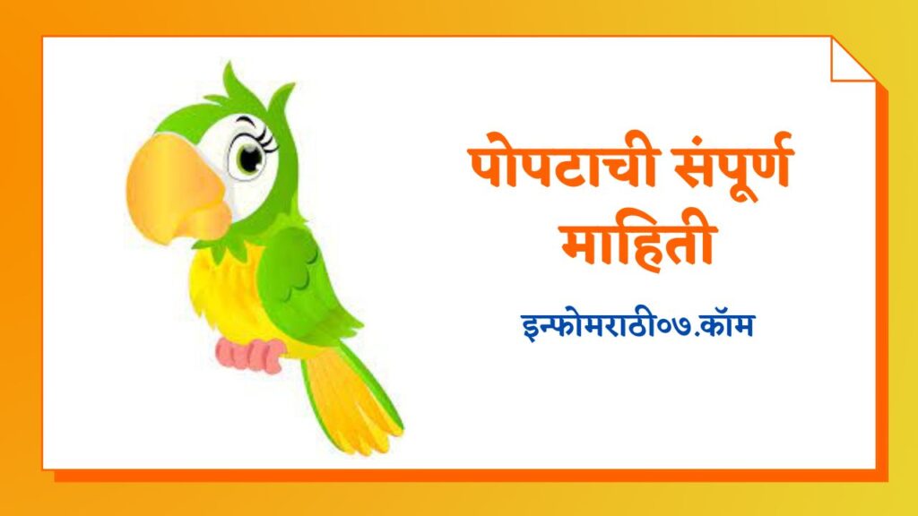 Parrot Information in Marathi