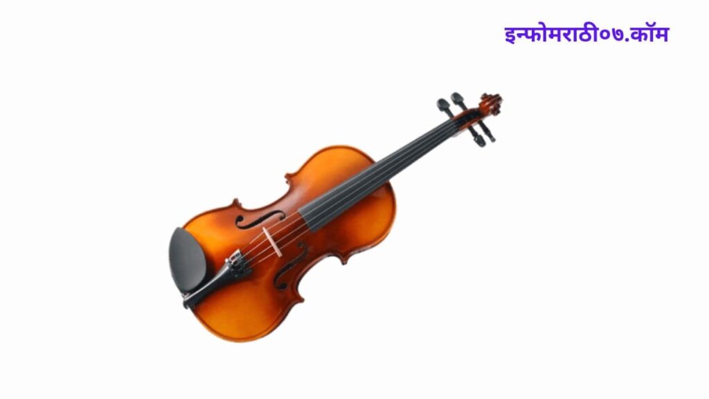 String instrument in Marathi