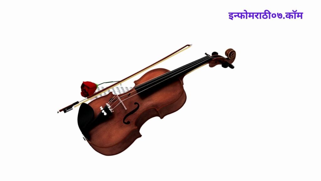 Violin in Marathi