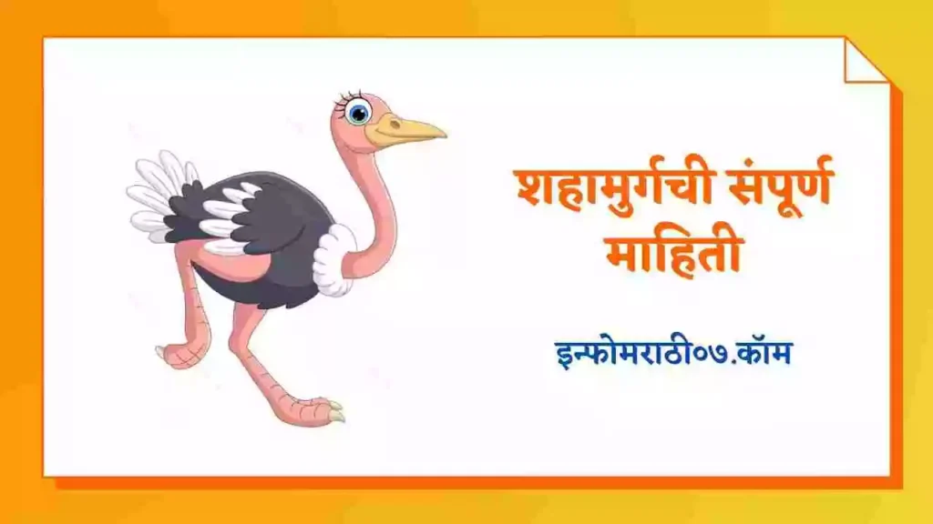 Ostrich Information in Marathi