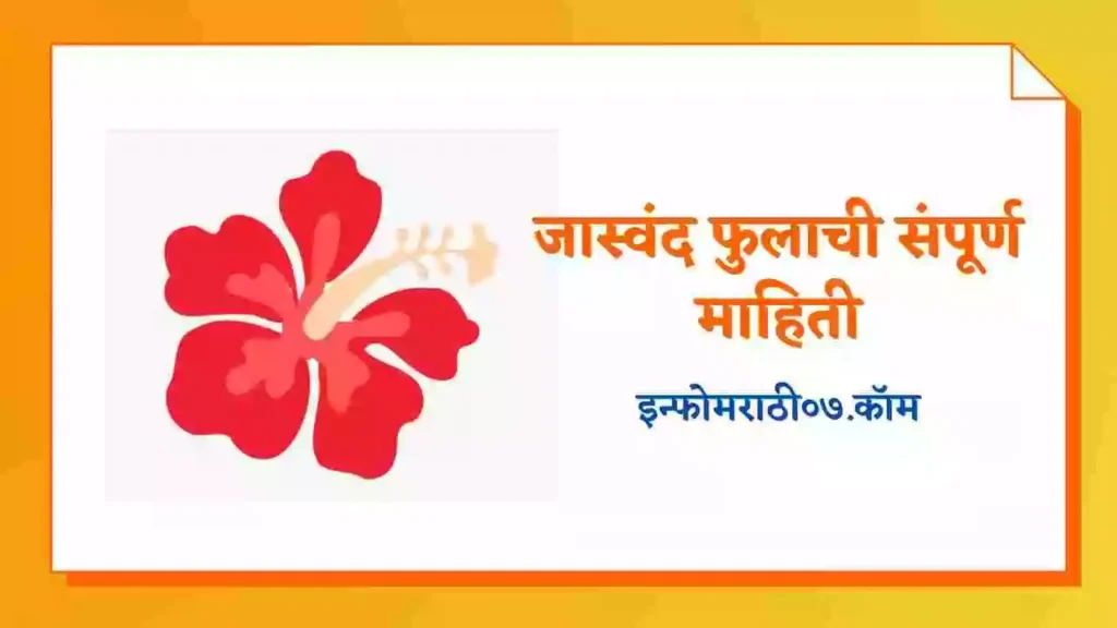 Hibiscus Information in Marathi