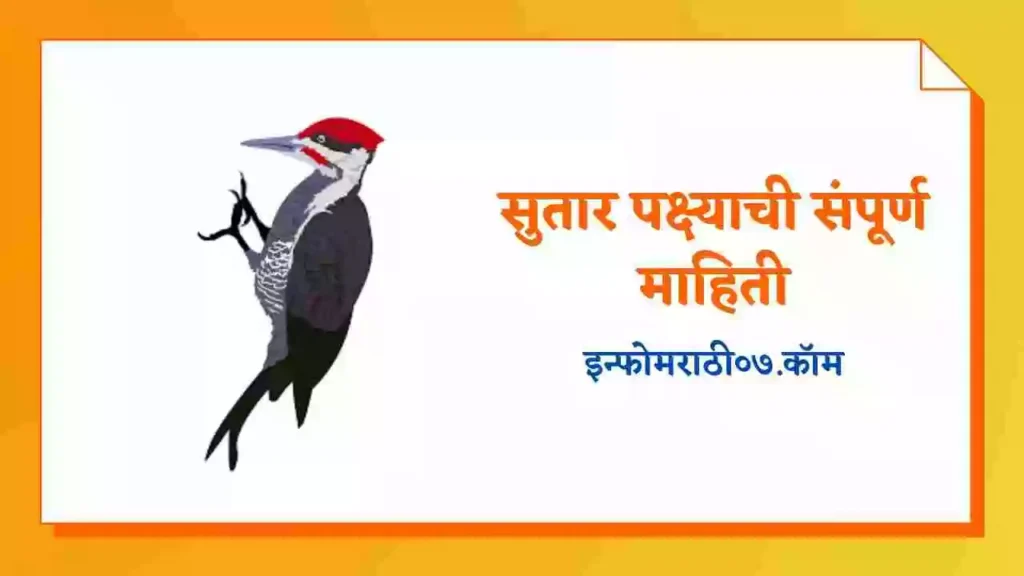 Woodpeckers Information in Marathi