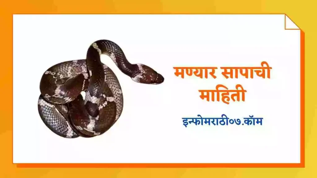 Manyar Snake Information in Marathi
