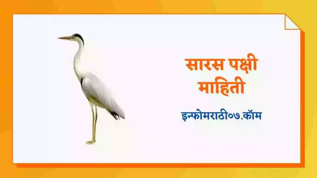 Crane Bird Information in Marathi
