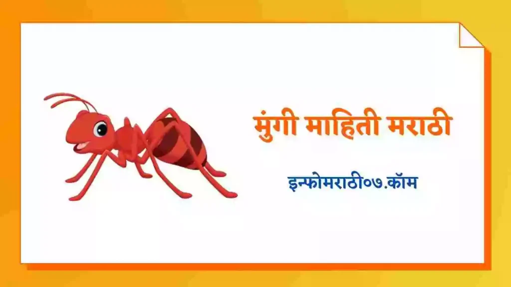 Ant Information in Marathi