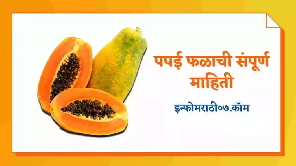 Papaya Information in Marathi