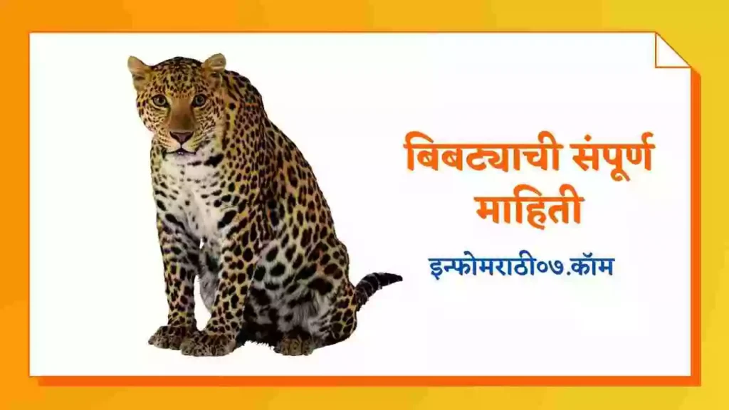 Leopard Information in Marathi