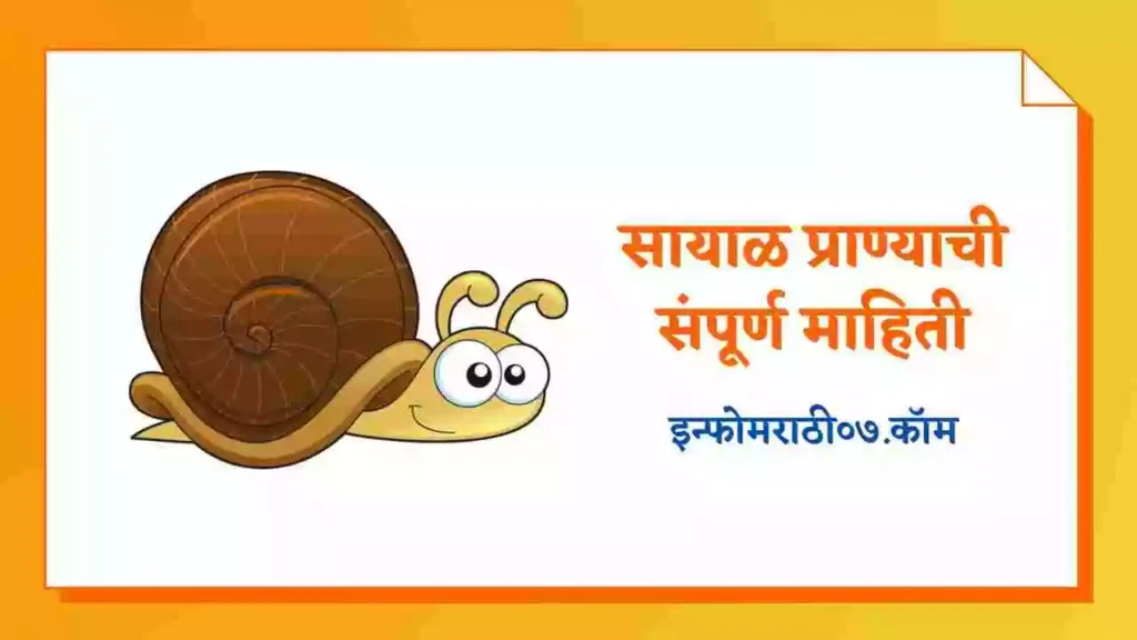 Snail Information in Marathi