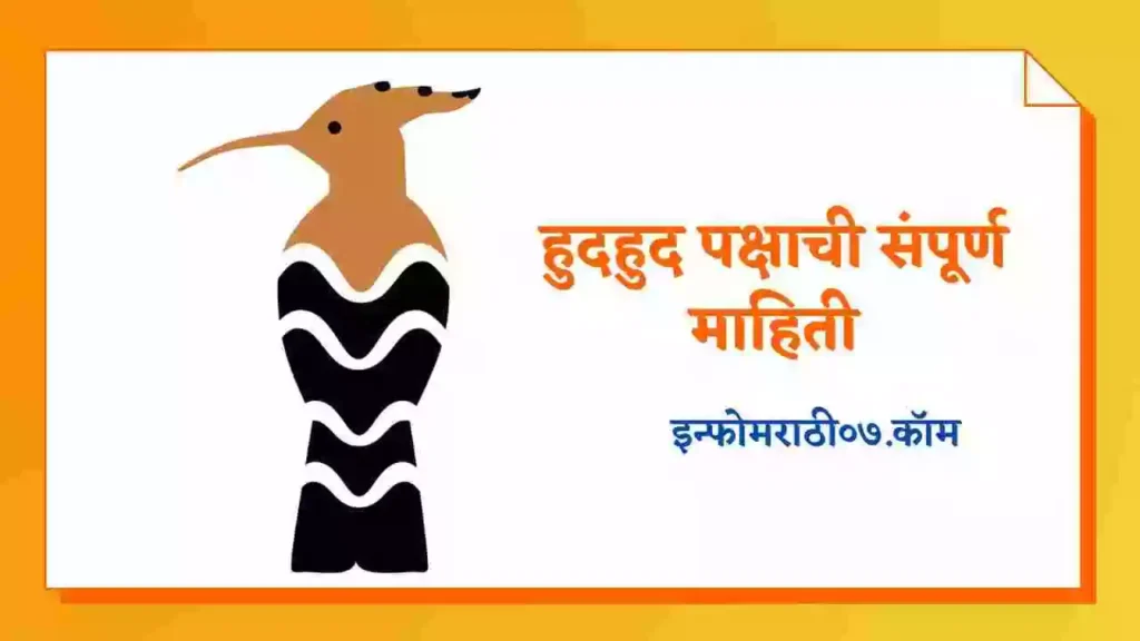 Hoopoe Bird Information in Marathi