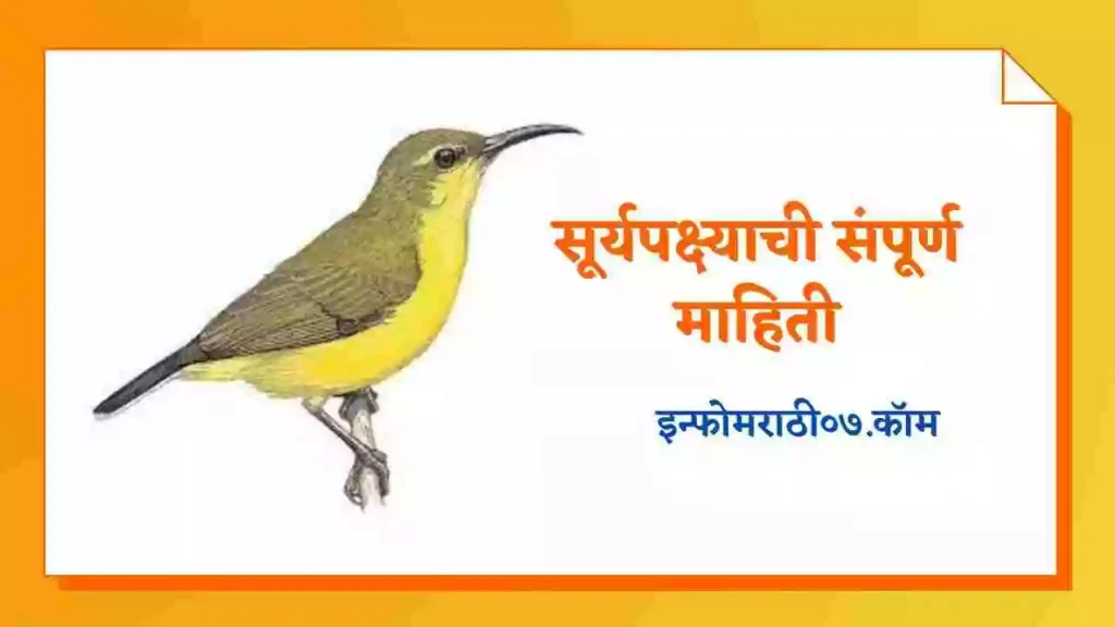 Sunbird Information in Marathi