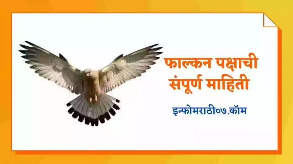 Falcon Information In Marathi