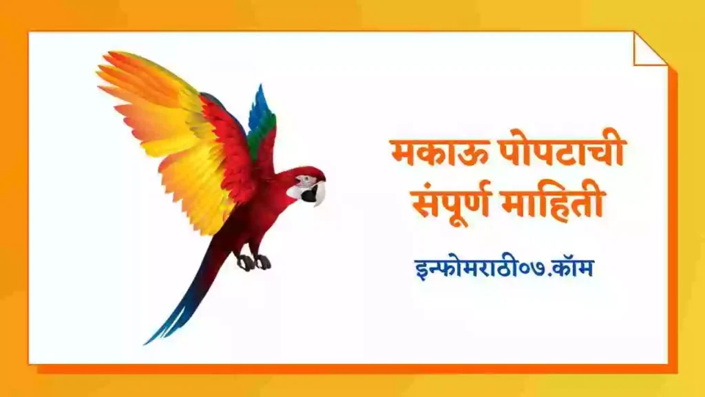 Macaw Bird Information in Marathi