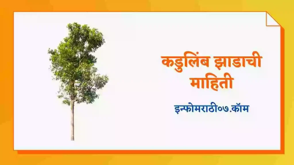 Neem Tree Information in Marathi