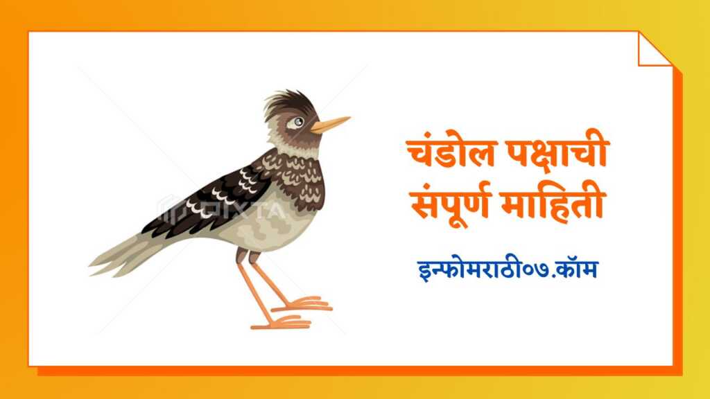Chandol Bird Information in Marathi