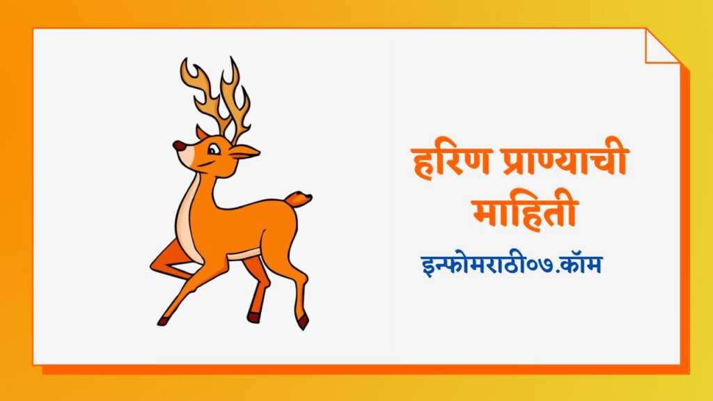 Deer Information in Marathi