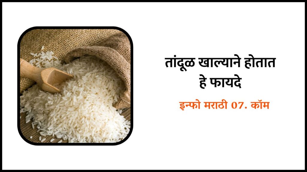 Rice Information in Marathi