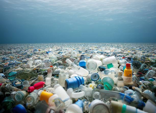 Plastic Pollution information in Marathi