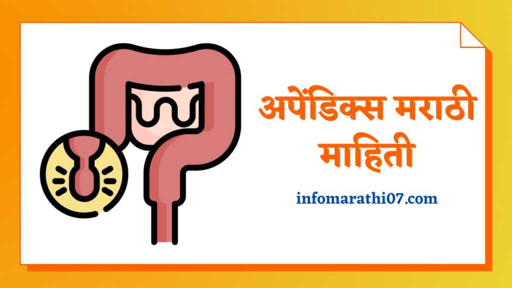 Appendix Information in Marathi