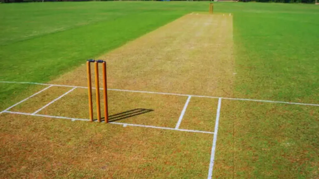 cricket pitch