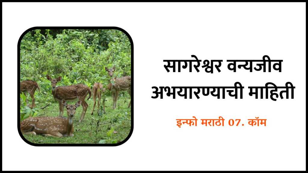 Sagareshwar Abhayaranya Information in Marathi