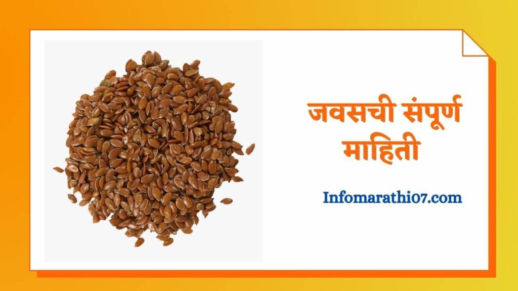 जवसची संपूर्ण माहिती Flax seeds in Marathi