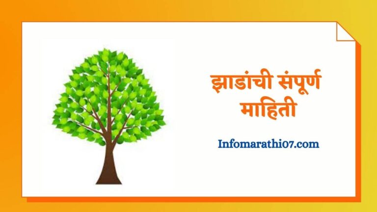 Information About Tree In Marathi